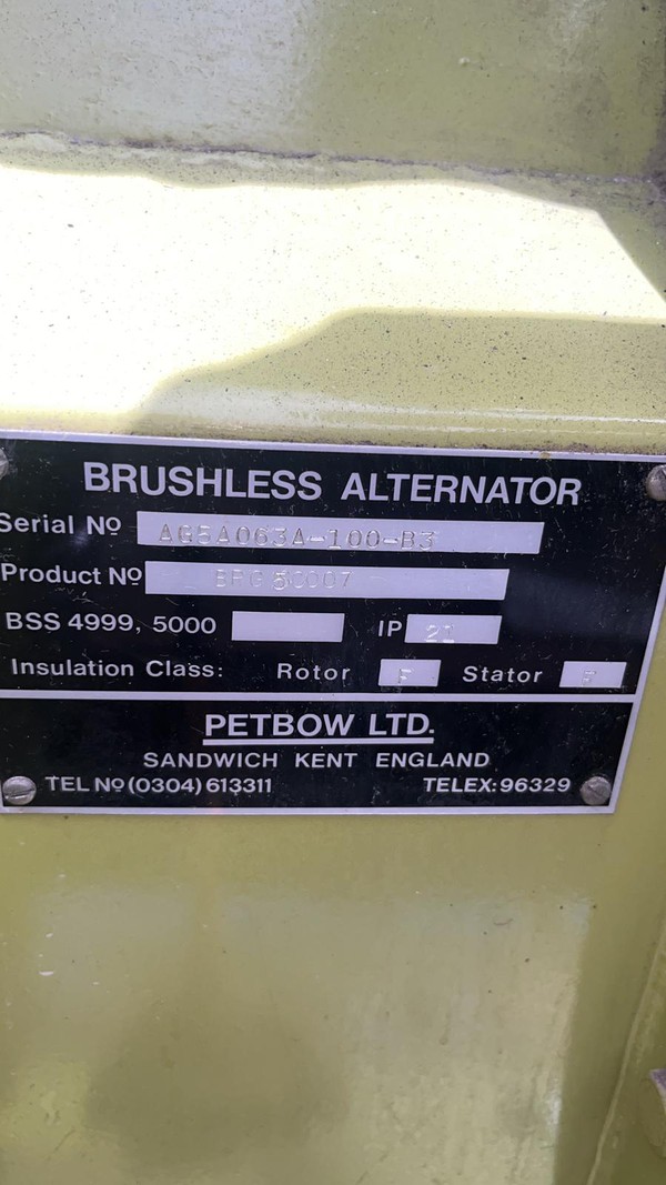 Brushless alternator