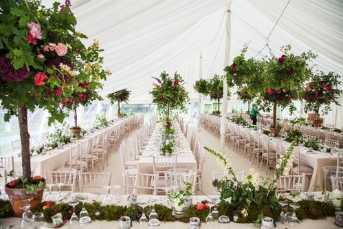Ivory pleated lining for weddings Ivory pleated lining for weddings
