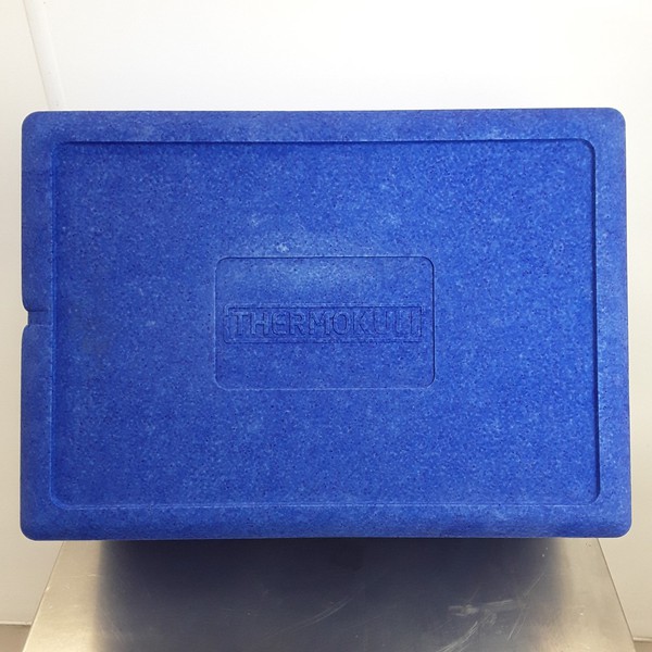 B Grade ThermoKuli Thermal Box For Sale