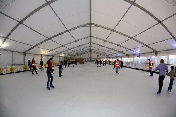 Real Ice Rink for sale