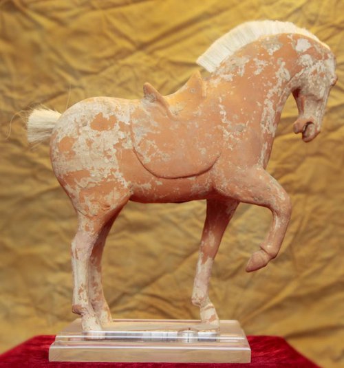 Prancing Horse - Tang Dynasty for sale Prancing Horse - Tang Dynasty for sale