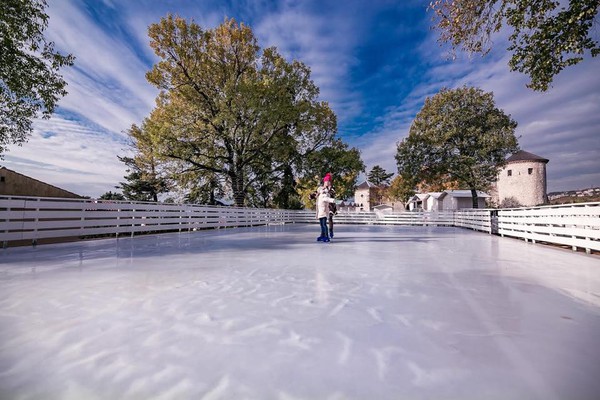 Ice rink for sale