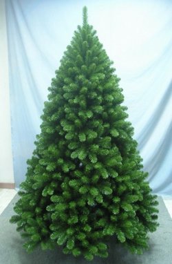 Christmas tree for sale