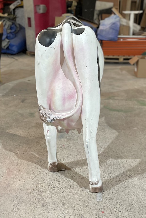 Cow Prop for sale