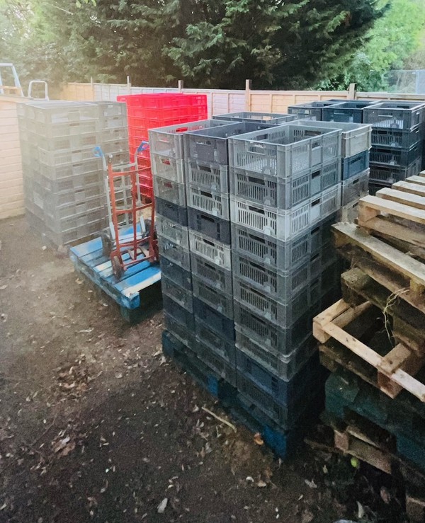 Europlastic Perforated Stacking Crates for sale