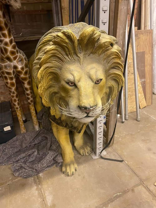 Life Size Lion Prop Life Size Lion Prop