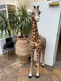 Life Size Baby Giraffe