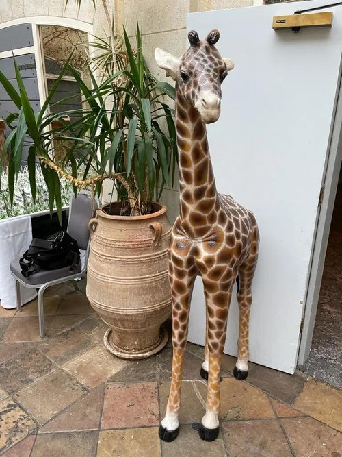 Life Size Baby Giraffe Life Size Baby Giraffe