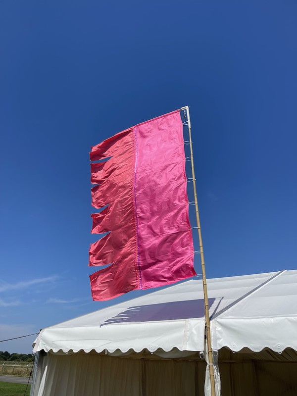 Pink Silk Festival Flags