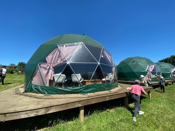 Glamping domes on wooden platforms