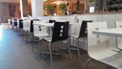 Secondhand Modern Style Café Chairs White For Sale
