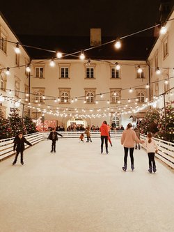 Secondhand Ice Rink 10 x 20 m 200 m2 For Sale