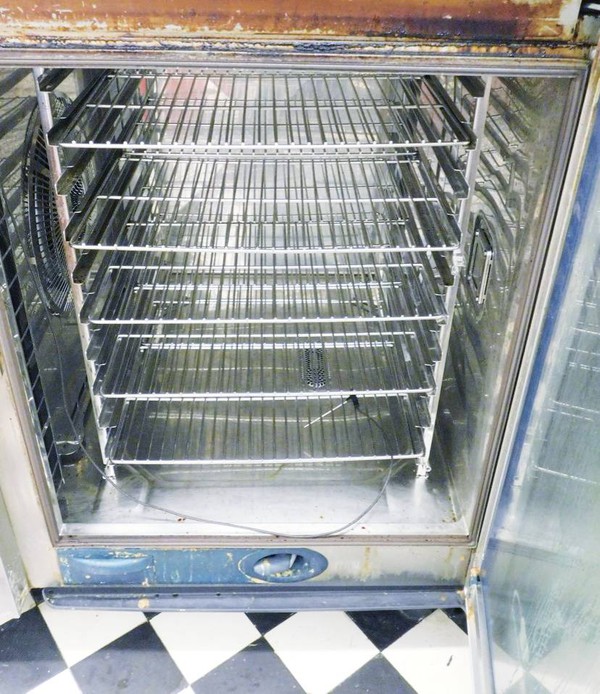 Ten grid combi oven for sale