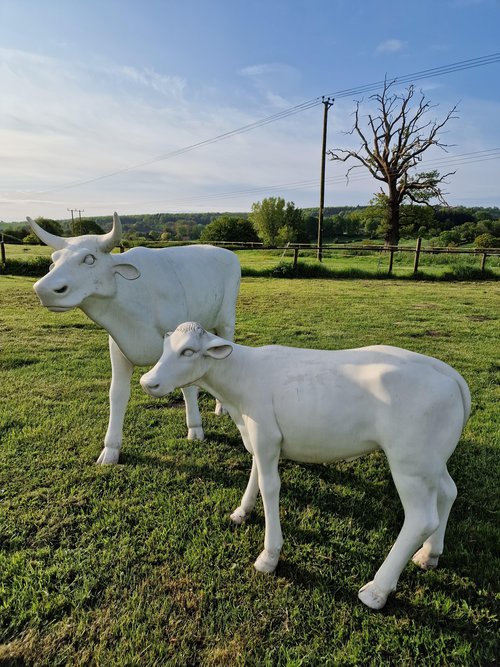 Secondhand Full Size Acrylic Cow and Calf with Attached Metal Foot Mounting Plates For Sale Secondhand Full Size Acrylic Cow and Calf with Attached Metal Foot Mounting Plates For Sale