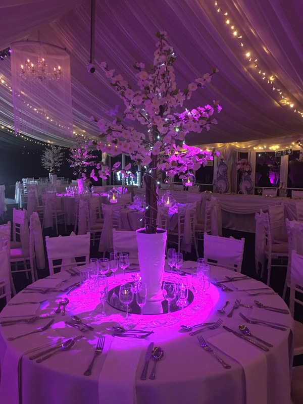 Ex Wedding Marquee Business Hire For Sale (12 metre by 24 metre marquee) - Liverpool, Merseyside 4