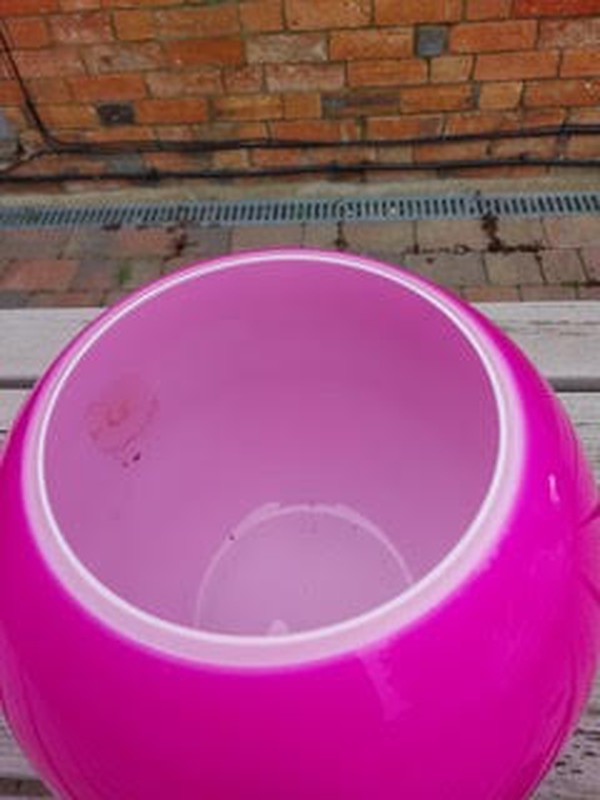 Large Bubble Gum Pink Gold Fish Bowls For Sale