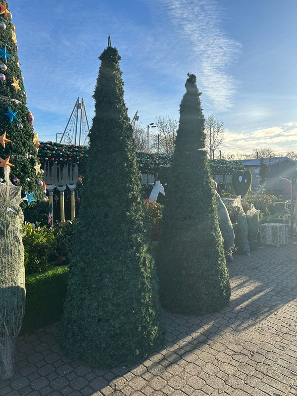 Commercial Christmas trees for sale