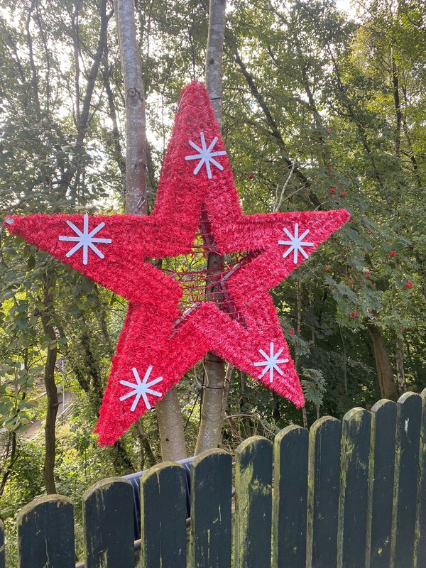 Illuminated Christmas star for sale