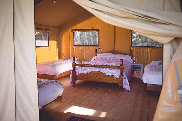 Large Glamping Safari Tent