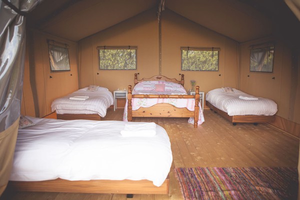 Glamping Safari Tent Accommodation