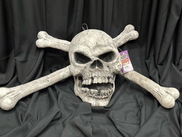 Rubber Halloween Skull Prop