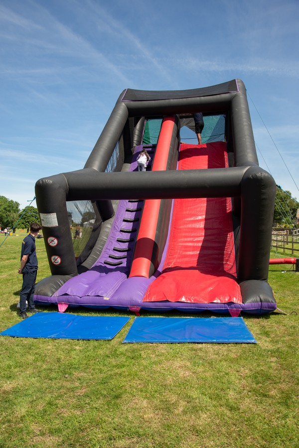 Freefall Inflatable For Sale
