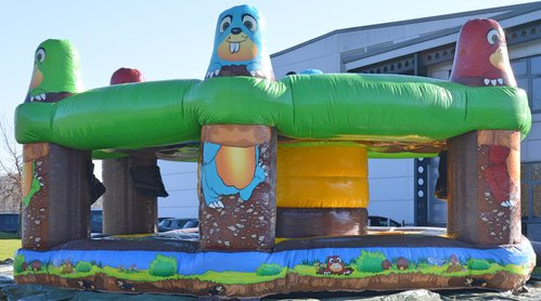 Secondhand Holey Moley Inflatable For Sale