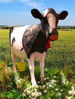 Life Size Milking Cow Figure