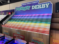 Donkey Derby For Sale