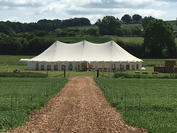 Barkers Petal marquee for sale