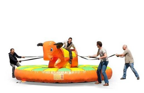 Rodio Bull for sale Rodio Bull for sale