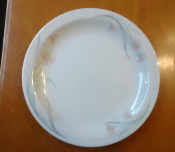 Churchill Chelsea Hotelware Plates