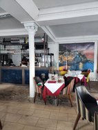 Buy Multi Coloured Dining Chairs