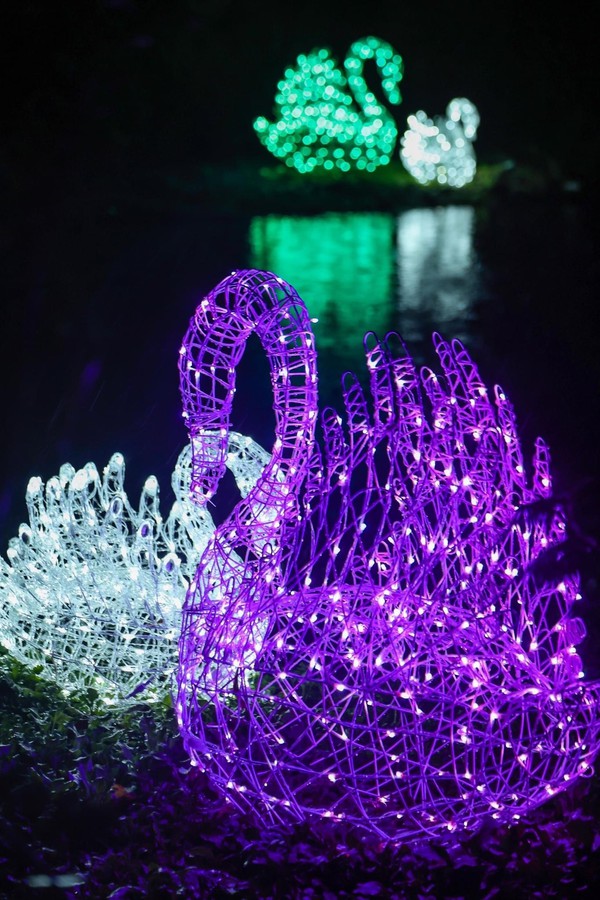 LED Outdoor Swan Figures for sale