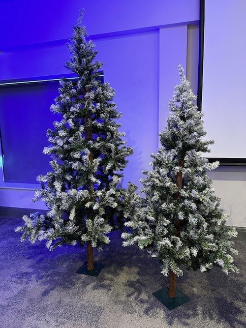 6ft and 8ft Christmas Trees for sale 6ft and 8ft Christmas Trees for sale