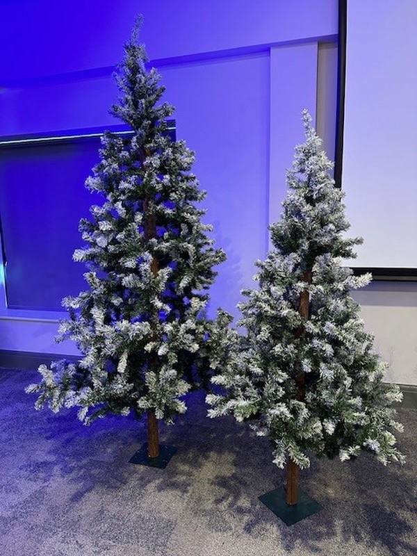 6ft and 8ft Christmas Trees for sale