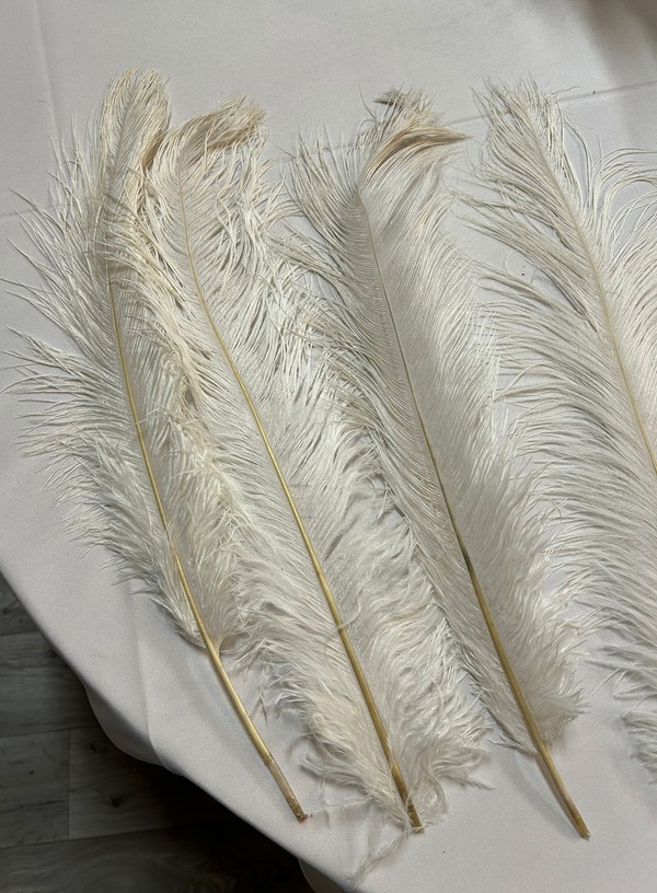 40-45cm Ostrich Feathers