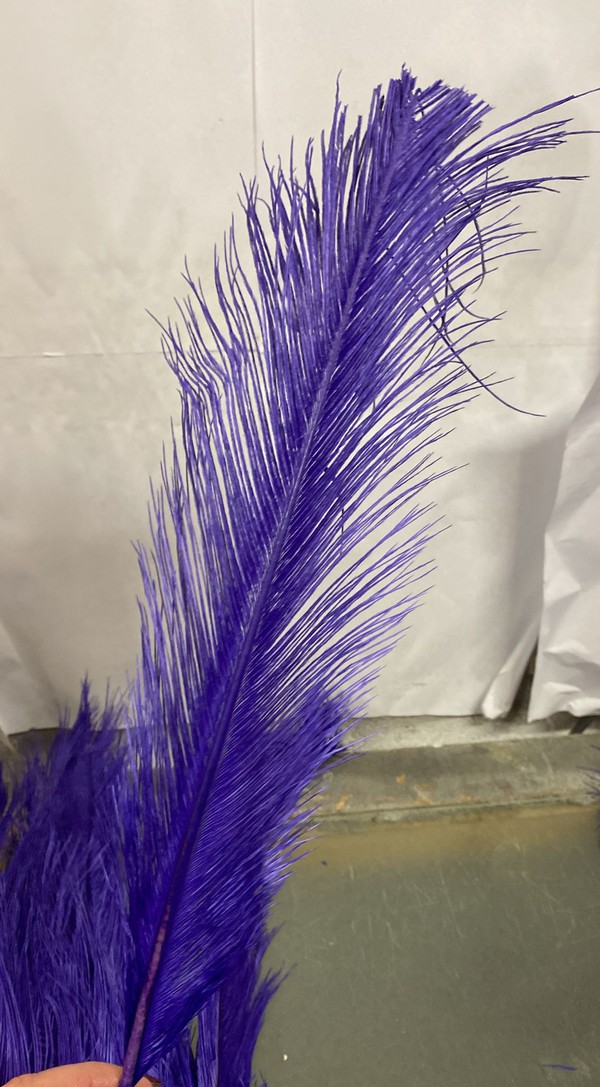 Purple And Off White Ostrich Feathers