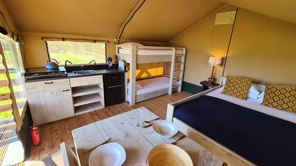 Safari Tent for sale