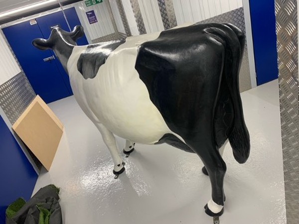 Secondhand Model Cow