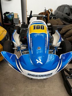 Secondhand Used DRS Kart Plus Spare Kart For Sale