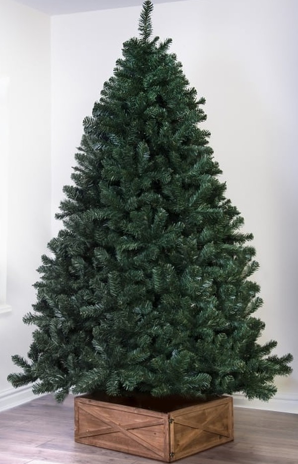 Secondhand Used 54x Arbor Vitae Fir Christmas Trees
