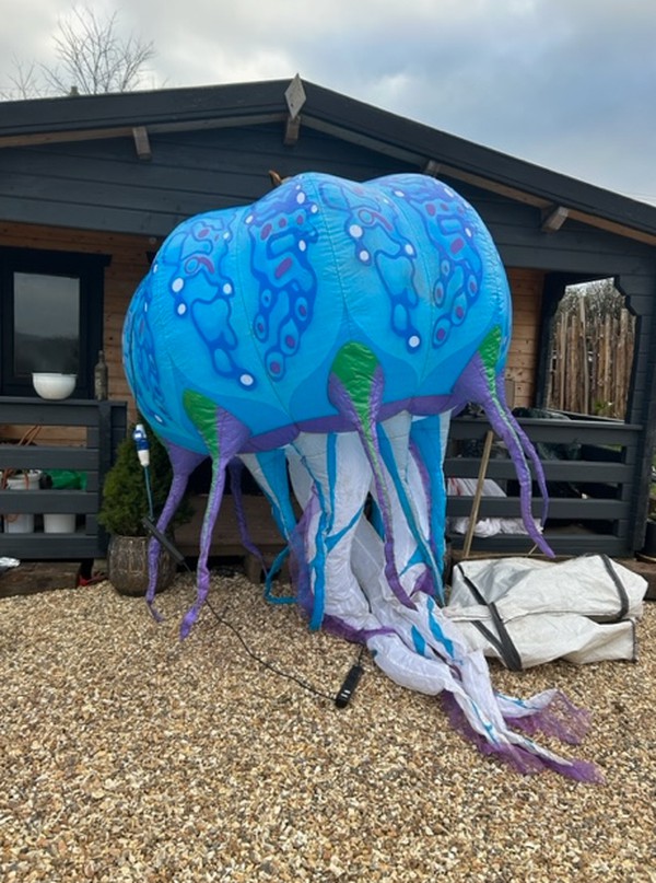 Inflatable Jellyfish For Sale