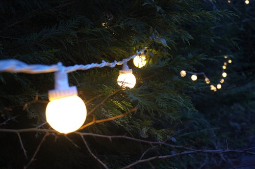 80x 5m Festoon Lighting For Sale 80x 5m Festoon Lighting For Sale