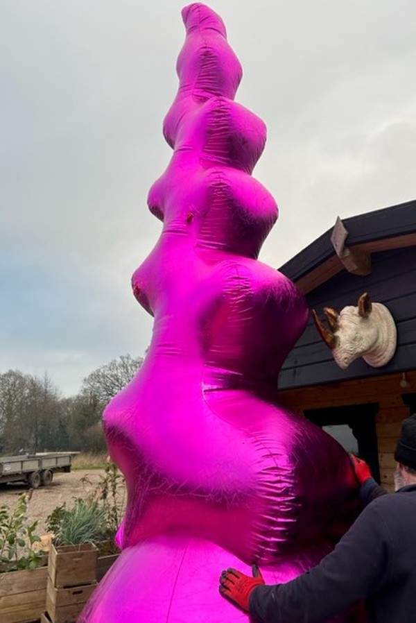 Inflatable Giant Wiggles For Sale