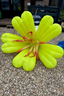 Secondhand Inflatable Flower For Sale