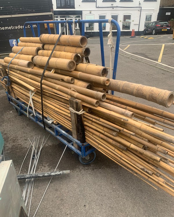 Secondhand Bamboo For Sale