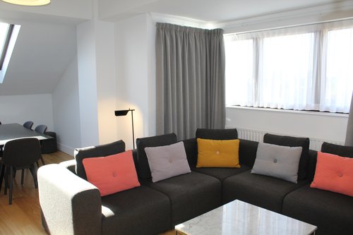 Sofa Cushions Sofa Cushions