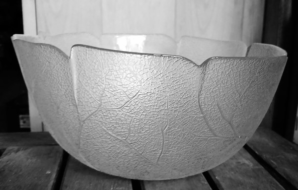 Vitrified Tableware - Surrey 11