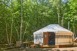 Secondhand Used Glamping Business For Sale